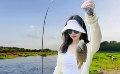 男的插曲女的 欢迎你